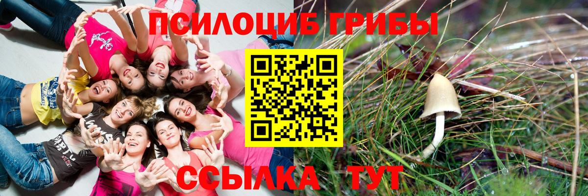 Ялуторовск  Галлюциногенные грибы Magic Shrooms  Вход с VPN 