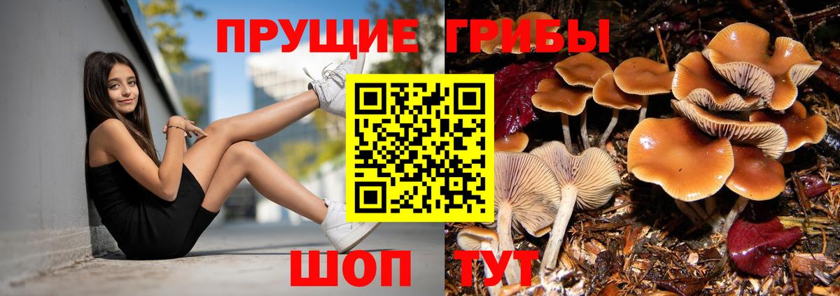 Галлюциногенные грибы Cubensis Ялуторовск