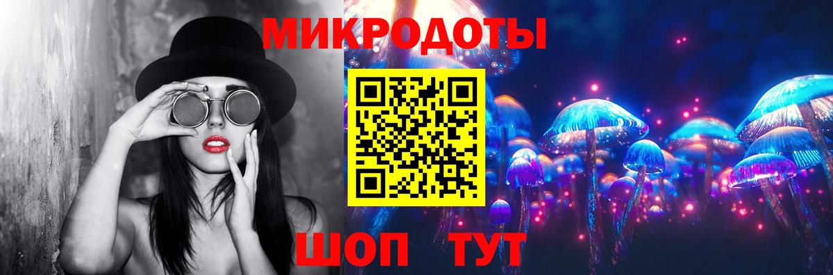 Галлюциногенные грибы Psilocybine cubensis Ялуторовск